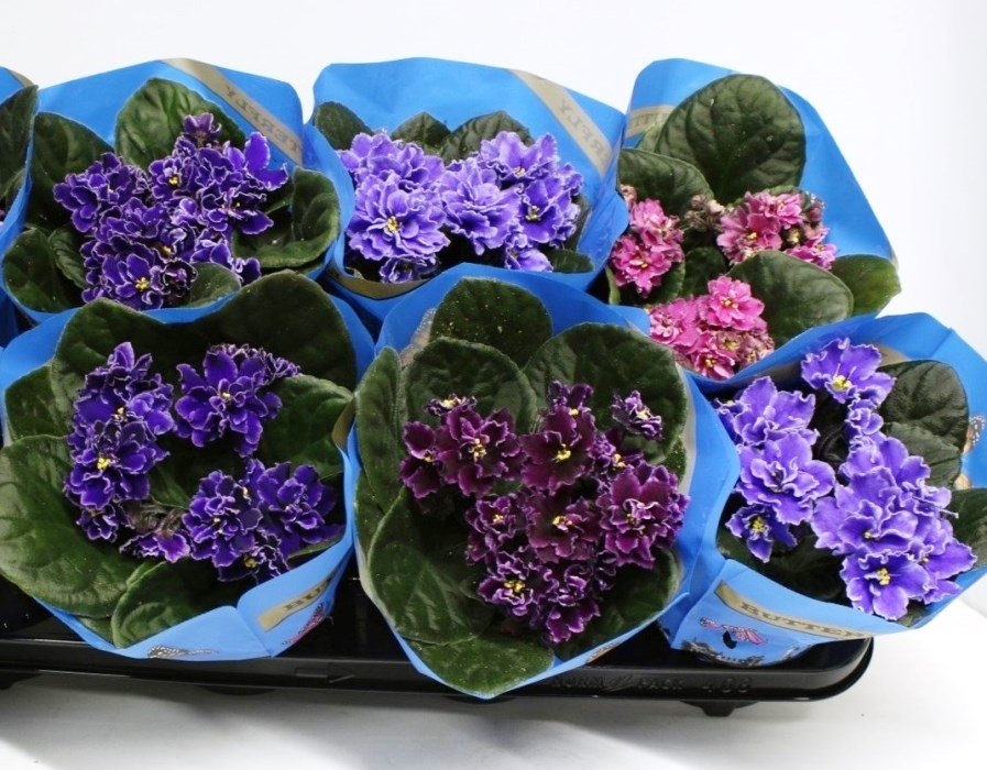 Autumn Maple Leaf & Berry Centerpiece - Image 3