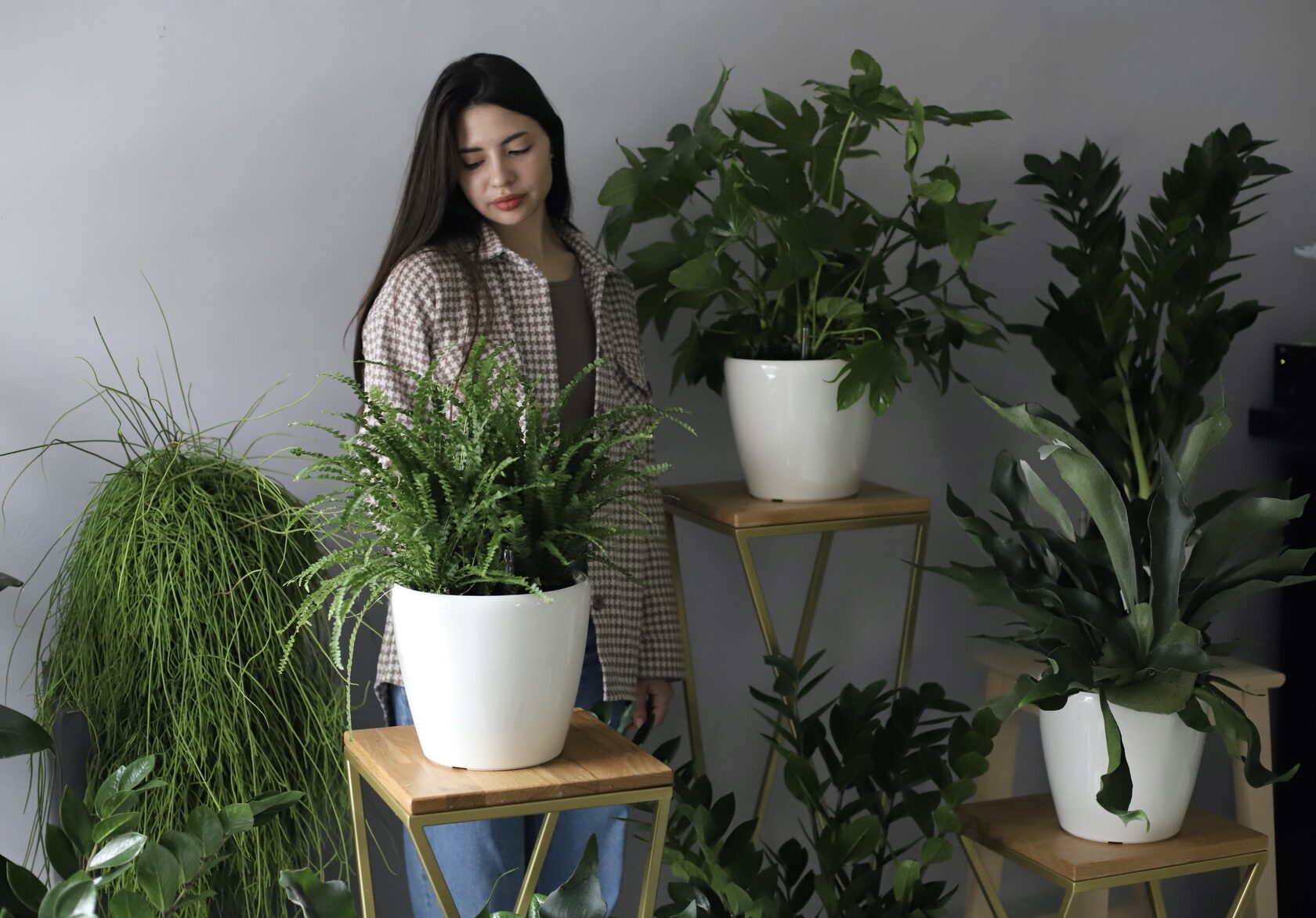 Lavender Rose & Lily Mix