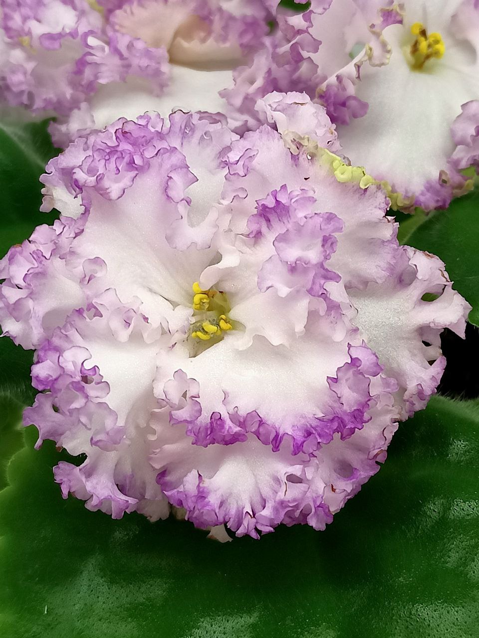 Autumn Maple Leaf & Berry Centerpiece